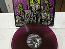 Misfits ?Earth AD Wolfs Blood LP 1983 RARE PURPLE PINK VINYL 1ST PRESS EX DANZIG