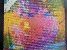 The Litter - $100 Fine, Vinyl, 1968 Psychedelic, Garage Rock, RARE
