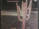 Indian Summer- 1971 LP Rare Neon (RCA)