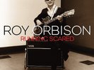 Legendary ROY ORBISON Running Scared 2 x LPs Only The Lonely Blue Angel etc