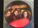 The Bee Gees- Spirits Having Flown- ltd. edition picture disc- RSO Records- 1978