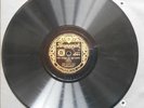 JOSH WHITE THE HOUSE OF THE RISIN' SUN 78 RPM BRUNSWICK 03749