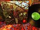 PLAYS MINT ? ORIG 1968 ? DRAGONFLY ? EXTFREME HARD HEAVY FUZZROCK PSYCH BLASTER