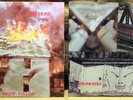 PUNK ROCK 2 LP LOT: FIREHOSE - fROMOHIO, RAGIN' FULL-ON SST Records