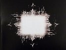TOOL 2LP VINYL - AENIMA
