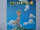 Vinyle---It's a beautiful day (LP)