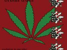 Brutal Truth - Evolution In One Take Vinyl LP