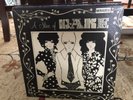 THE CAKE - A SLICE OF THE CAKE / ORIGINAL 1968 DECCA RECORDS MONO LP DL 75039