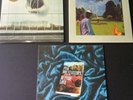 Black Mountain / Pink Mountaintops - 3 Album Vinyl Lp Lot