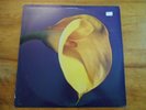 Swans - The Burning World LP W/ Promo Stamp RARE GOTH Vinyl In Mint