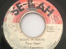 T Bird Experience - Roots In Roots Se-Llah 7”