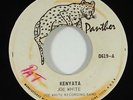 Joe White 