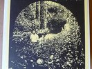 THE SEARCH PARTY Montgomery Chapel LP RAPTUREDELIC 1969 US(?) reissue+ltd