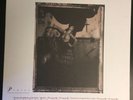 Pixies Surfer Rosa Vinyl 1988 NM vinyl