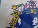 RORY GALLAGHER TATTOO CHRYSALIS CHR 1259 ELECTRIC BLUES AUTOGRAPHED SIGNED