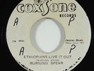 Burning Spear 