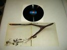 WISHBONE ASH --- original 1970 WISHBONE ASH LP, FOC