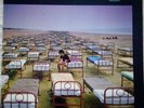 Pink Floyd - A Momentary Lapse of Reason LP. 1987