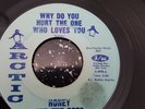 honey and the bees , why do you hurt the one who loves you/go now - arctic 141