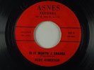 RUBY ROBERSON Is It Worth A Chance/ Rheumatism SOUL 45 ASNES AS-1000 Original