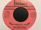 Rare Northern Soul The Honey Bees Fontana S-1939 Promo 
