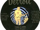 SCOTT MORGAN RATIONALS TAKE A LOOK MICHIGAN GROUP GARAGE ROCK  45 RPM