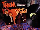 MONO 1965 THEM   VAN MORRISON GLORIA Garage Fuzz Punk Howling Snarl MYSTIC EYES