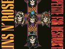 Guns N' Roses : Appetite for Destruction VINYL 12