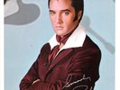 Elvis Presley Flaming Star LP BONUS PHOTO 1968