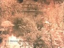 Red House Painters - Untitled (Bridge) Vinyl LP 4AD Reissue MINT No MP3