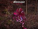 DINOSAUR Wonder Trail LP Vinyl NEW 2018