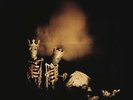 PEARL JAM Riot Act 2 x Vinyl LP Remastered 2017 NEW & SEALED