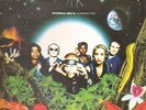 Stereo MCs Connected Island Records / 4th Street Vinyl LP