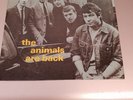 THE ANIMALS