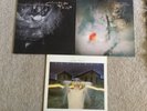 Cocteau Twins. Garlands. Sunburst and Snowblind. Treasure. Vinyl  LPs. Ex/Ex 