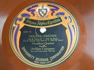 Sigma Alpha Epsilon - University Records 315 - Violets - Friends