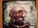 GOV´T MULE - LIFE BEFORE INSANITY. 2 GREEN VINYL LP. 2000 ETR.