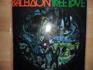 Original Italian Prog Rock KALEIDON 