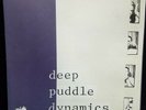 DEEP PUDDLE DYNAMICS THE THE TASTE OF RAIN WHY KNEEL ANTICON ABR 0009 LP VINYL
