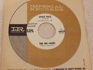 ROCK SURF WEST COAST EXOTICA HO-DADS Space Race/After Dark IMPERIAL 66023 DJ OS