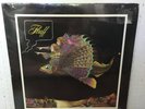 1972 Fluff (LP, Album)  - Roulette Sealed