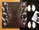CREATURE WITH THE ATOM BRAIN The Birds Fly Low 2 LP 1ST PRESS 2012 UNPLAYED RAR