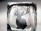 MIIKE SNOW - Miike Snow 2xLP Vinyl NM