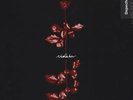 GUT: Violator Vinyl LP Depeche Mode Label: Rhino Schallpaltte Longplayer Musik