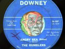 HEAR Rumblers 45 Bugged/Angry Sea DOWNEY 107 tittyshaker surf exotica instro