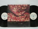 Raphael Saadiq - INSTANT VINTAGE 2LP 2002 US ORIG R&B D'ANGELO TONY TONI TONE