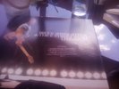 Bruce Springsteen live 1975-85
