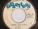 LEE PERRY - WHITE BELLY RAT - UPSETTER ( ROOTS 7 )