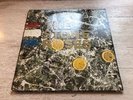 The Stone Roses Vinyl LP OIS UK 1989 Embossed S. Silvertone Records ?ORE LP 502