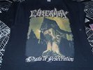Cinerary LS L Brutal Death Metal Defeated Sanity Inherit Disease Inveracity